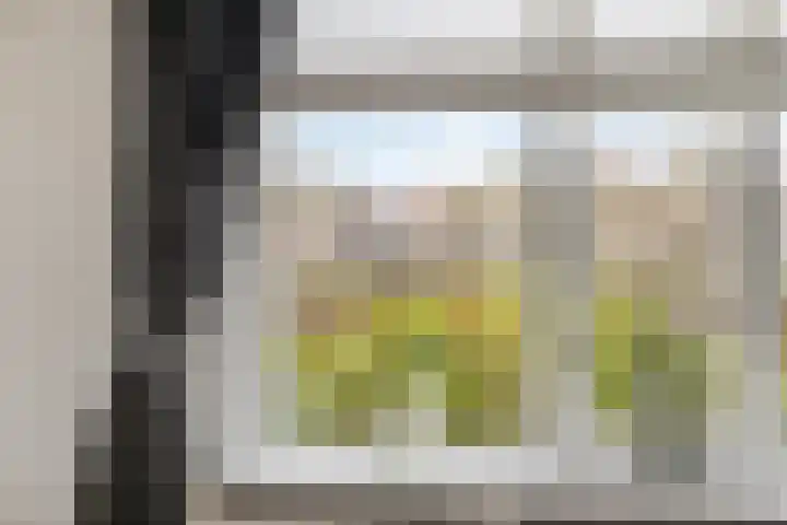 Wouw 3 Valkenswaard thumbnail 4