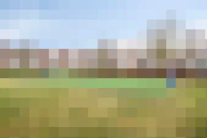 Wouw 3 Valkenswaard thumbnail 5
