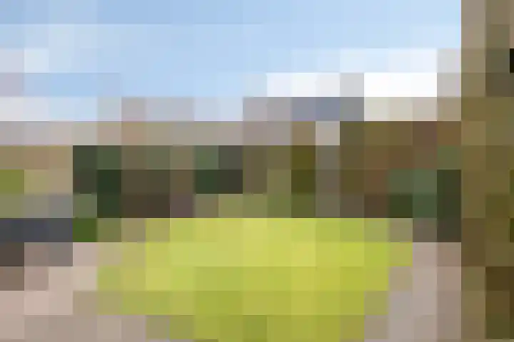 Wouw 3 Valkenswaard thumbnail 9