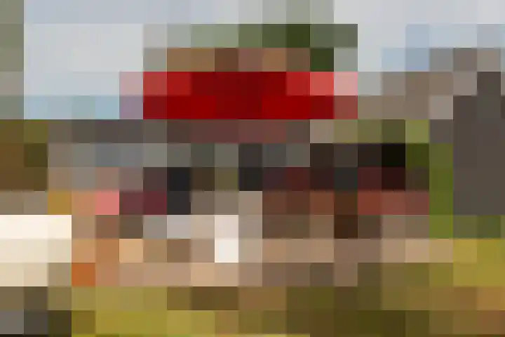 Wouwbaan 108 Hoogerheide thumbnail 31