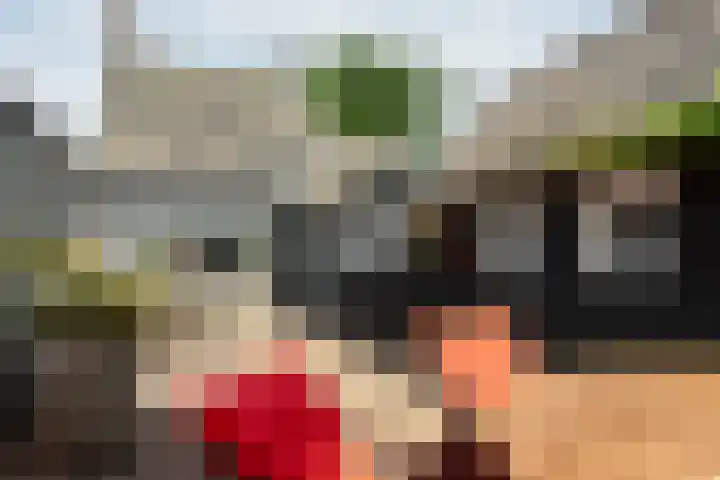 Wouwbaan 108 Hoogerheide thumbnail 32