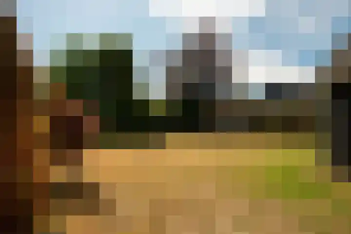 Wouwbaan 108 Hoogerheide thumbnail 37