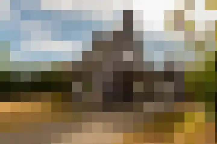 Wouwbaan 108 Hoogerheide thumbnail 39
