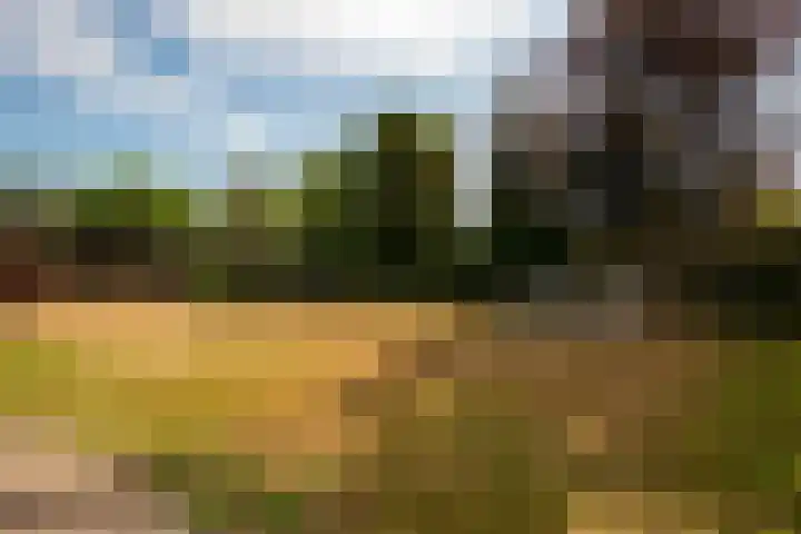Wouwbaan 108 Hoogerheide thumbnail 4