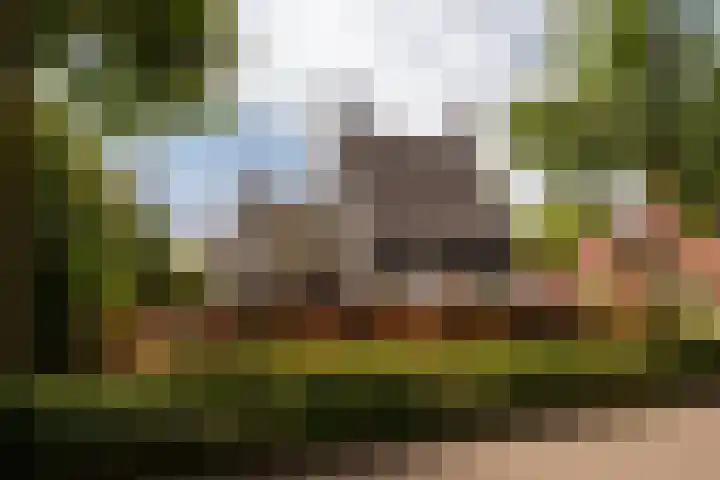 Wouwbaan 108 Hoogerheide thumbnail 44