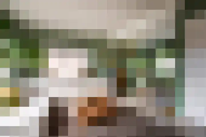Wouwbaan 108 Hoogerheide thumbnail 5