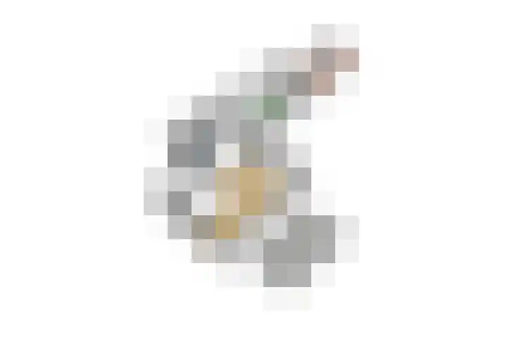 Wouwbaan 108 Hoogerheide thumbnail 50