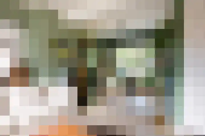 Wouwbaan 108 Hoogerheide thumbnail 7