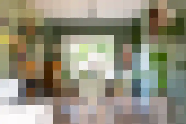 Wouwbaan 108 Hoogerheide thumbnail 8