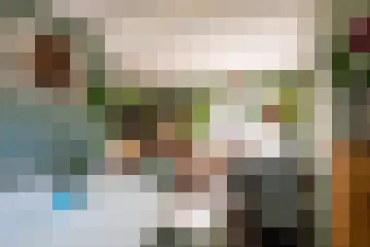 Wouwbaan 108 Hoogerheide thumbnail 9