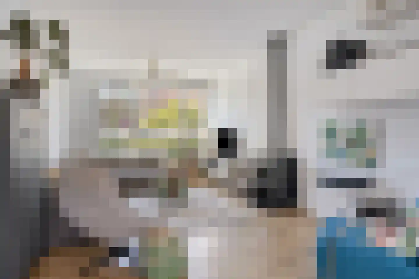 Wouwbaan 136 Hoogerheide thumbnail 20
