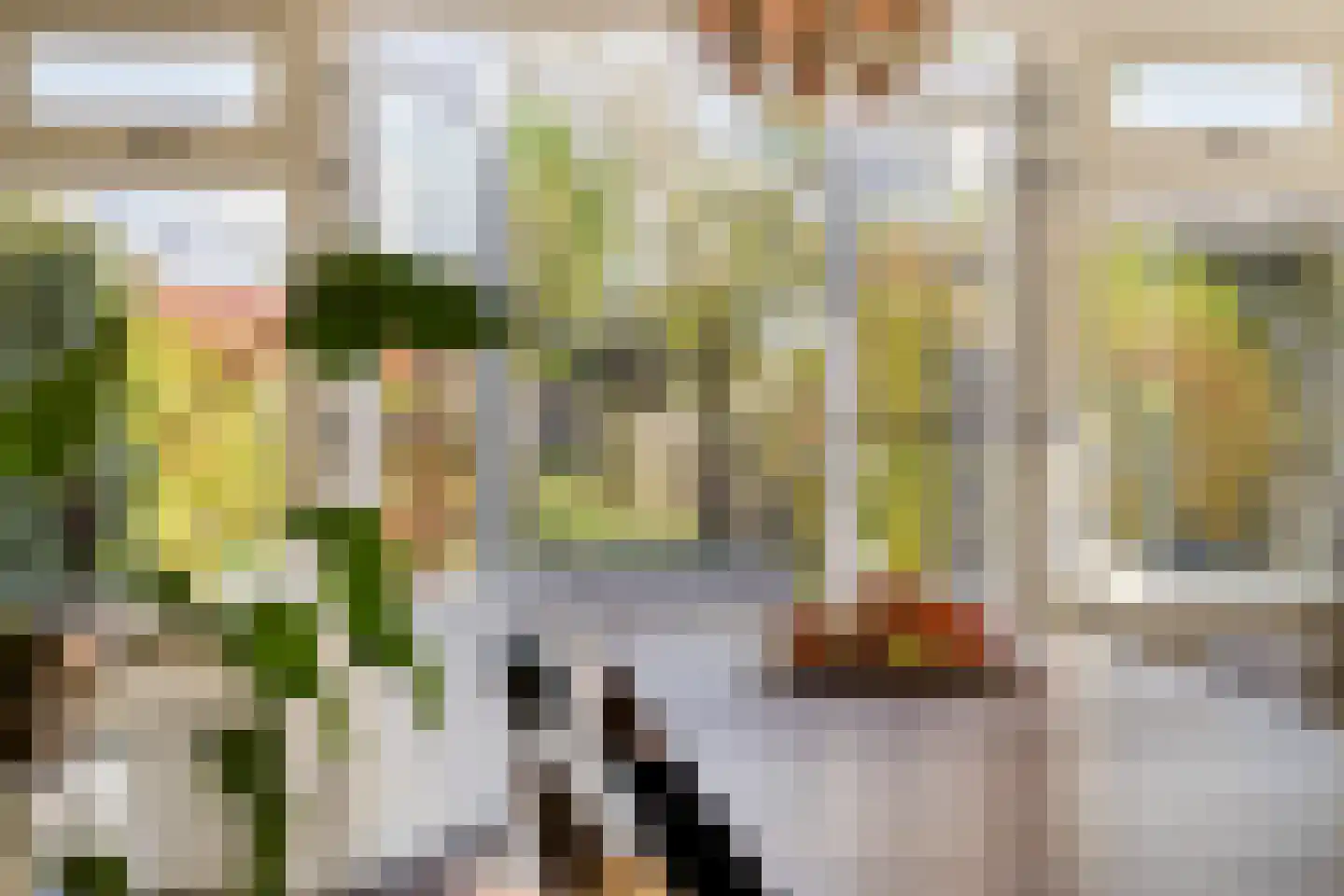 Wouwbaan 136 Hoogerheide thumbnail 29