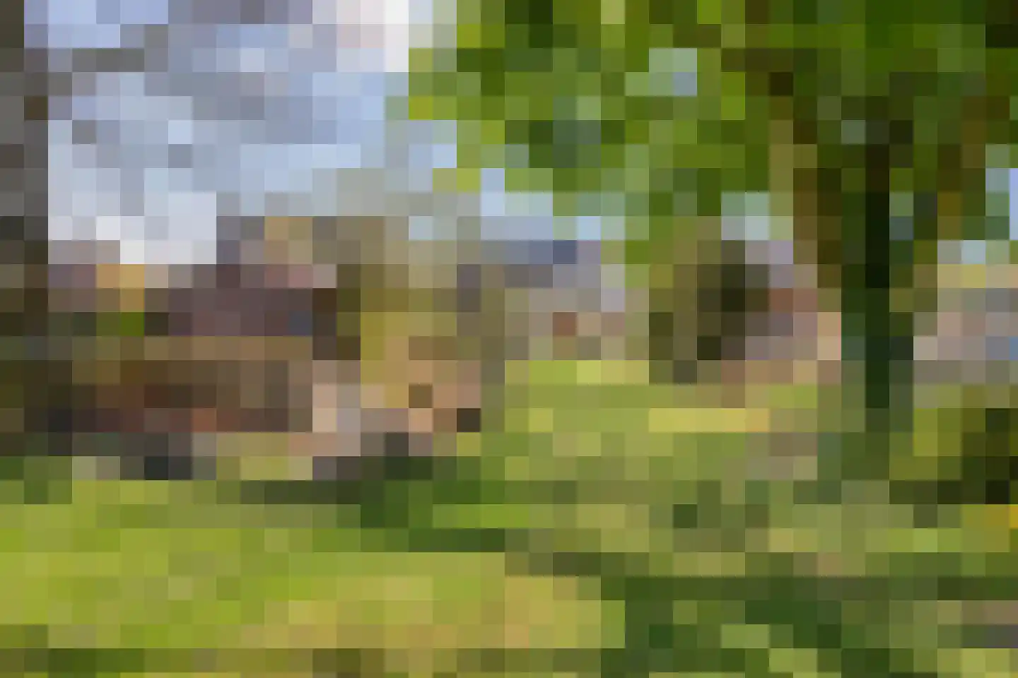 Wouwbaan 136 Hoogerheide thumbnail 4