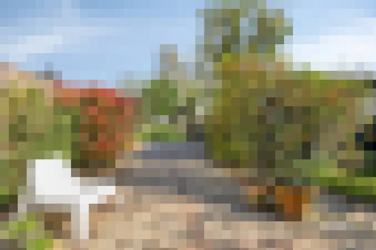 Wouwbaan 136 Hoogerheide thumbnail 50