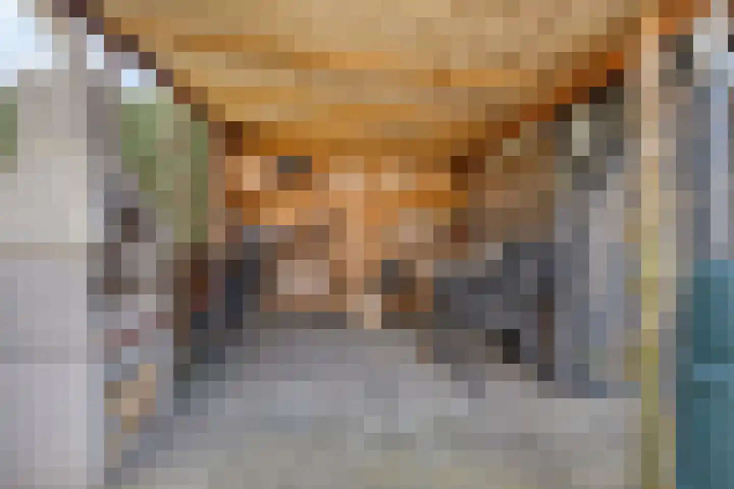 Wouwbaan 136 Hoogerheide thumbnail 55