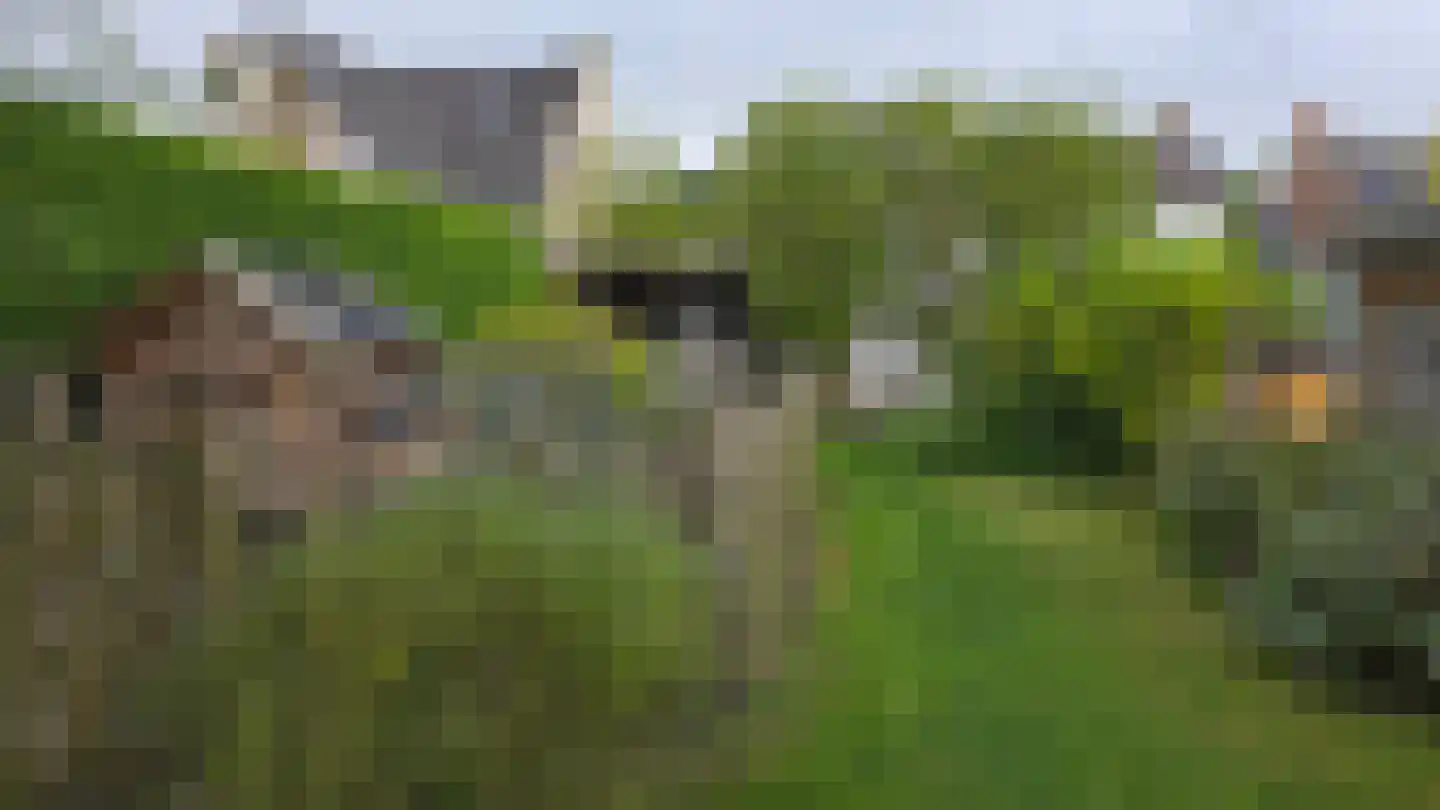 Wouwbaan 136 Hoogerheide thumbnail 77