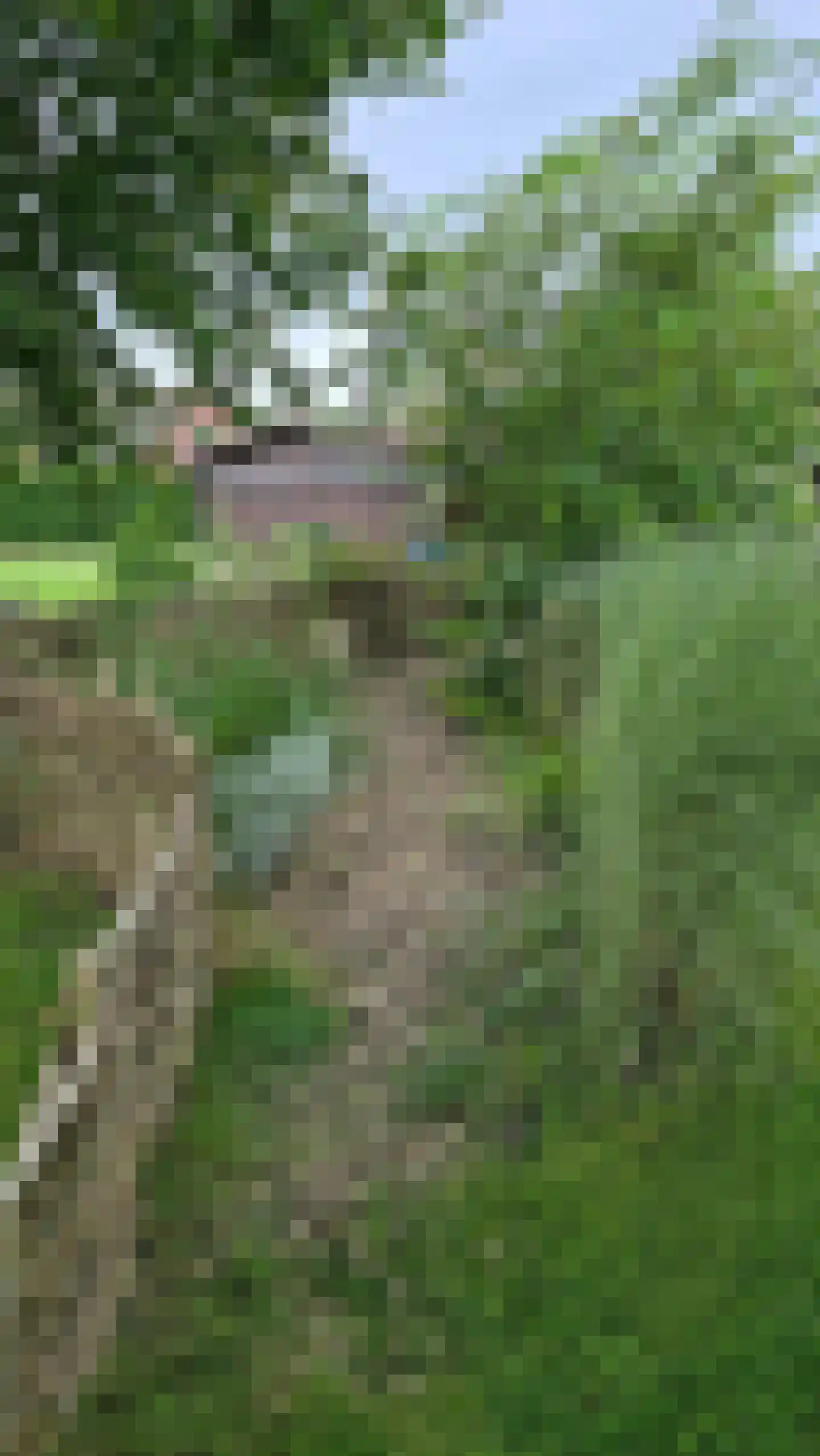 Wouwbaan 136 Hoogerheide thumbnail 78