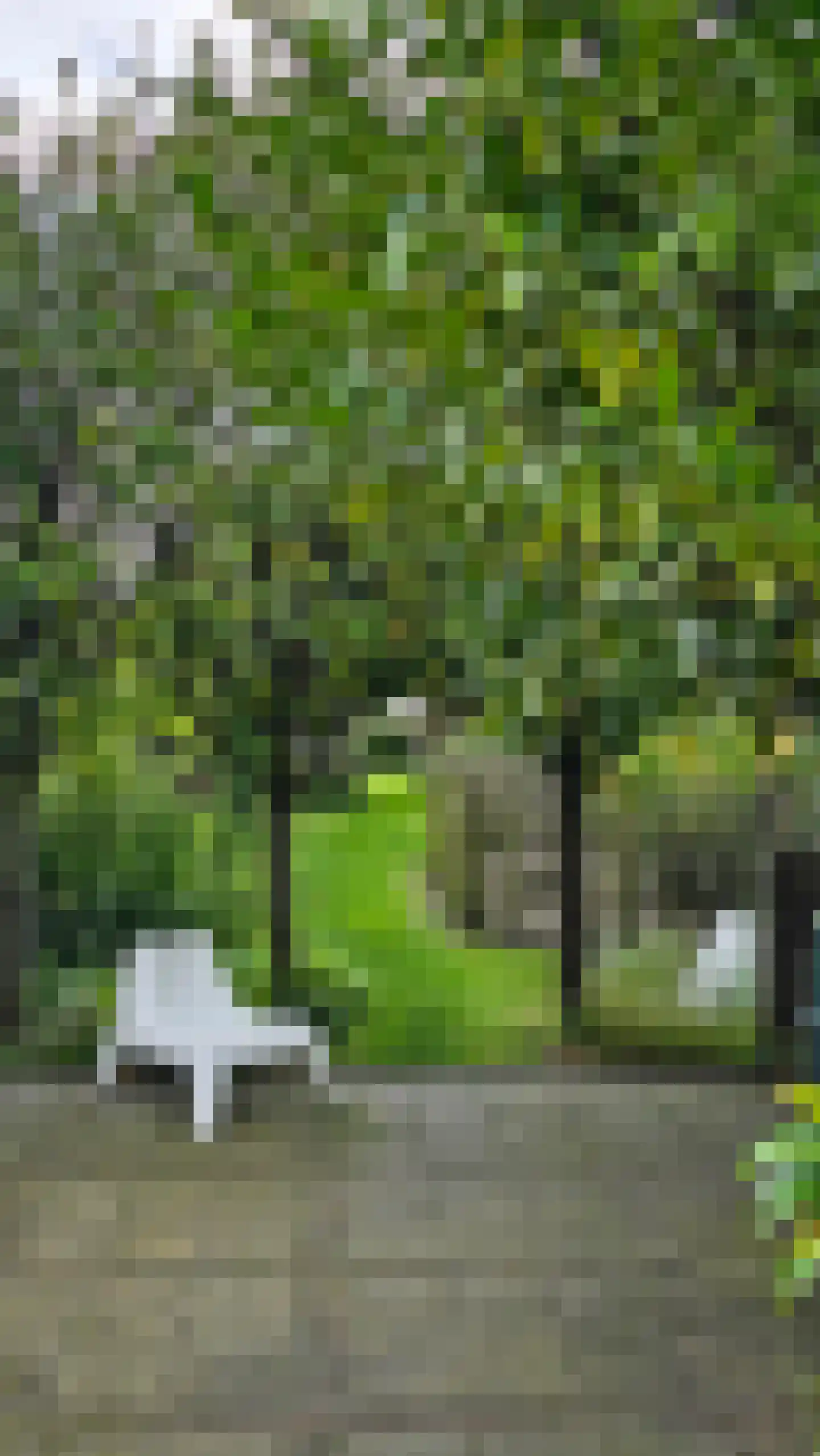 Wouwbaan 136 Hoogerheide thumbnail 79