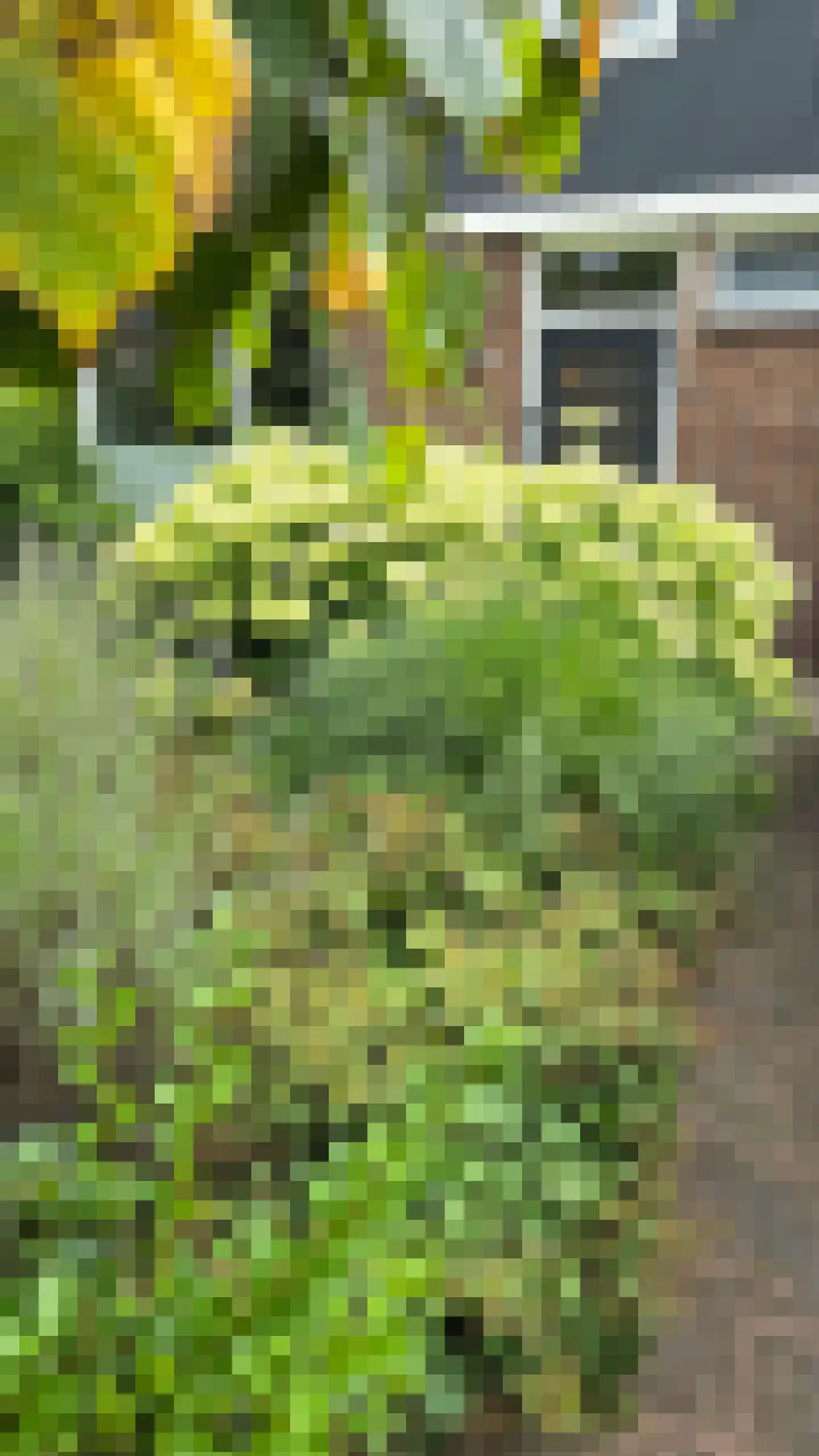 Wouwbaan 136 Hoogerheide thumbnail 80