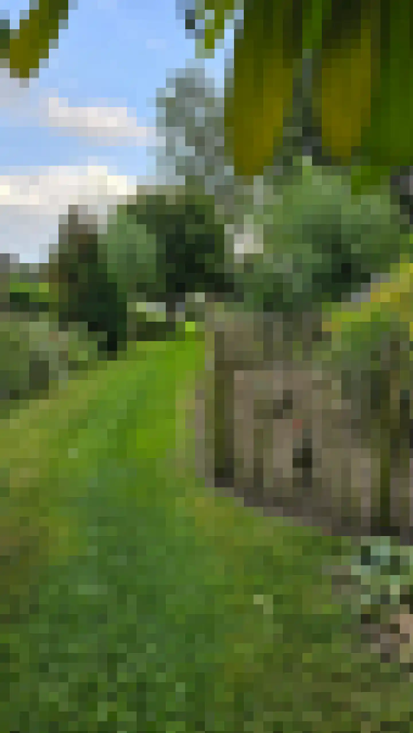 Wouwbaan 136 Hoogerheide thumbnail 81