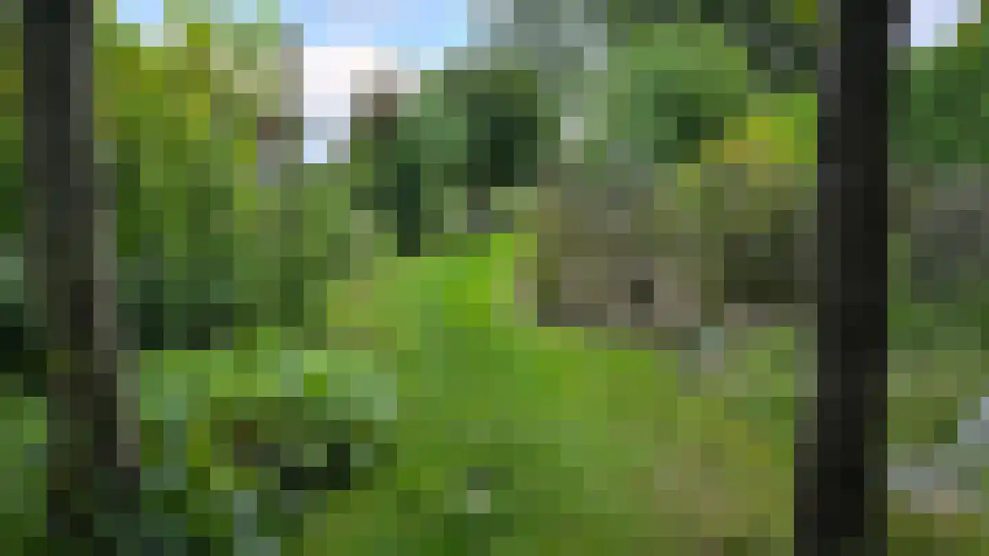 Wouwbaan 136 Hoogerheide thumbnail 83