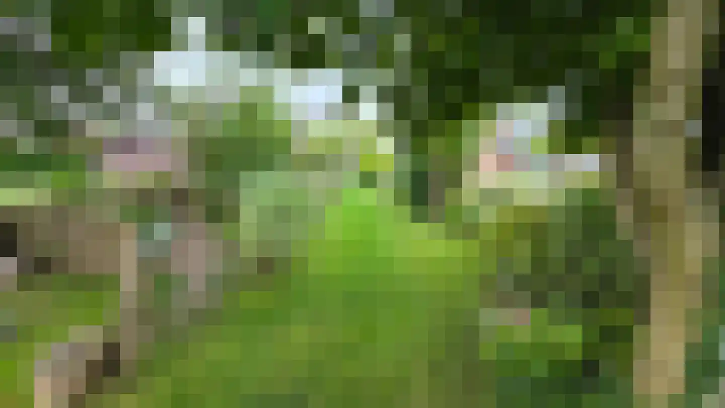 Wouwbaan 136 Hoogerheide thumbnail 85