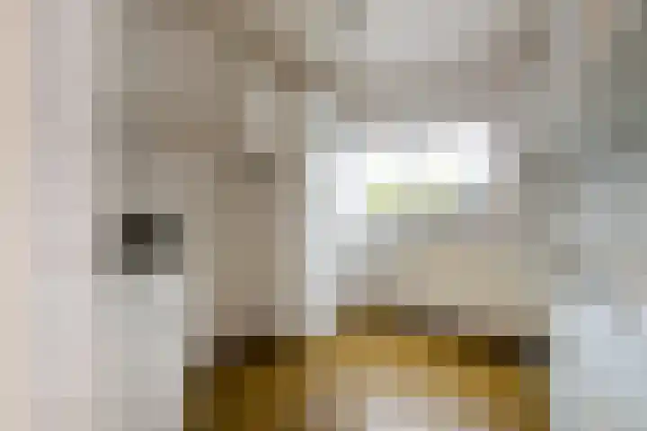 Wouwbaan 144 Hoogerheide thumbnail 12
