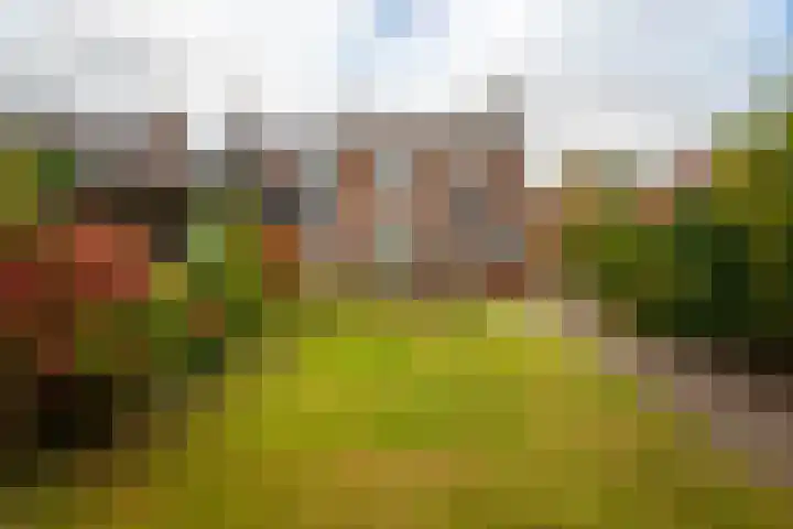 Wouwbaan 144 Hoogerheide thumbnail 24