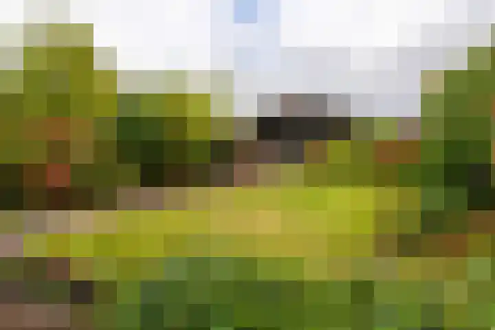 Wouwbaan 144 Hoogerheide thumbnail 27