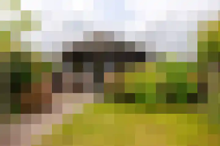 Wouwbaan 144 Hoogerheide thumbnail 28