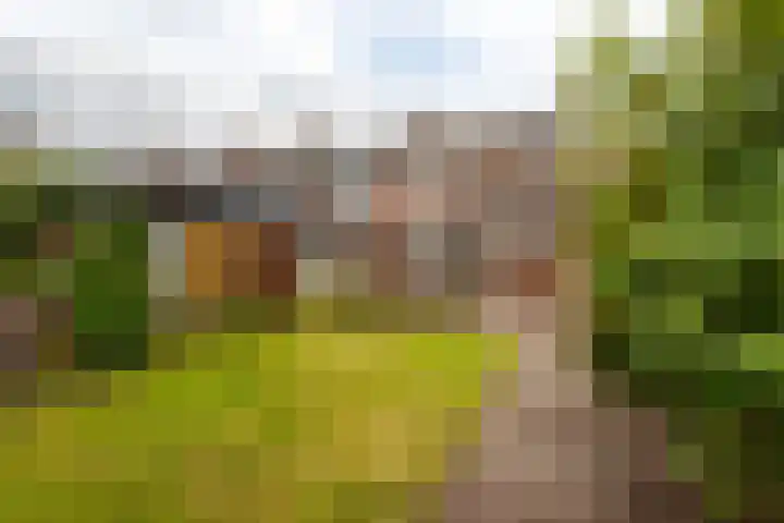Wouwbaan 144 Hoogerheide thumbnail 31