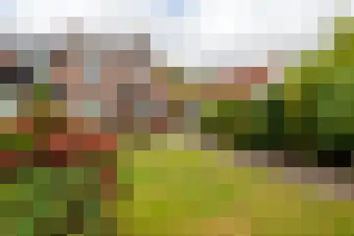 Wouwbaan 144 Hoogerheide thumbnail 32