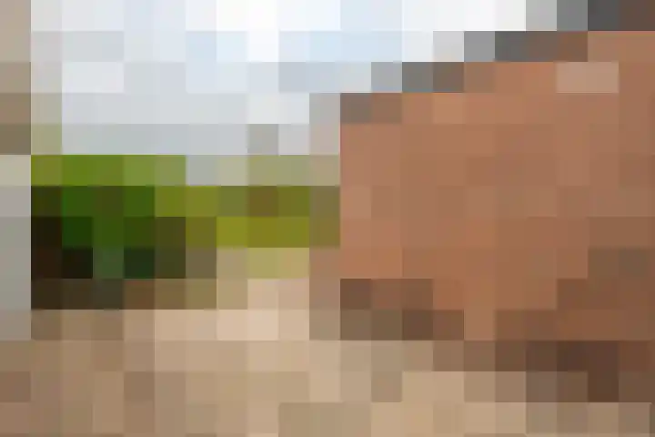 Wouwbaan 144 Hoogerheide thumbnail 33