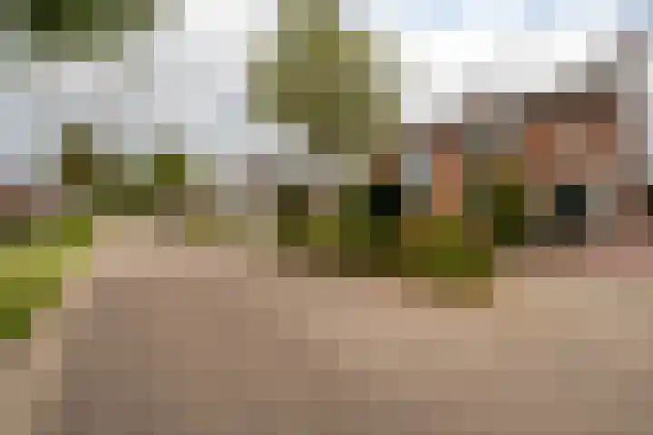 Wouwbaan 144 Hoogerheide thumbnail 37