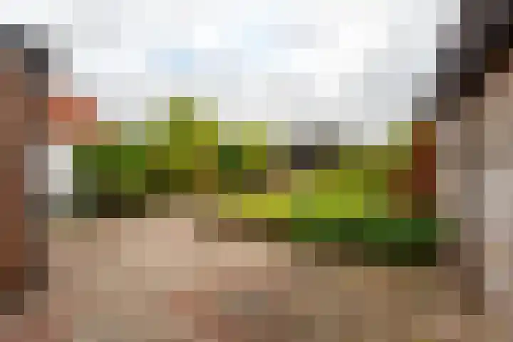 Wouwbaan 144 Hoogerheide thumbnail 4