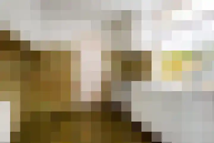 Wouwbaan 144 Hoogerheide thumbnail 9