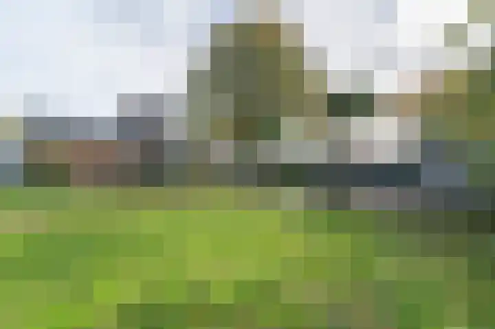 Wouwbaan 210 Roosendaal thumbnail 31