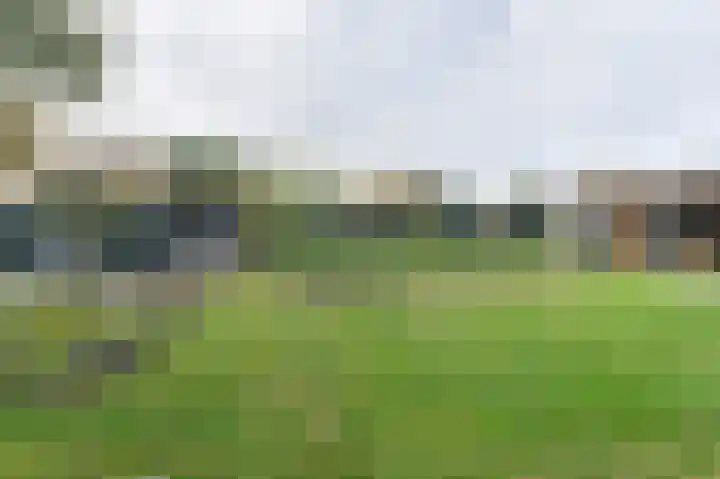 Wouwbaan 210 Roosendaal thumbnail 33