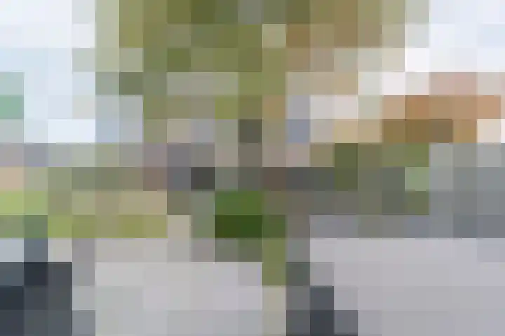 Wouwbaan 210 Roosendaal thumbnail 36