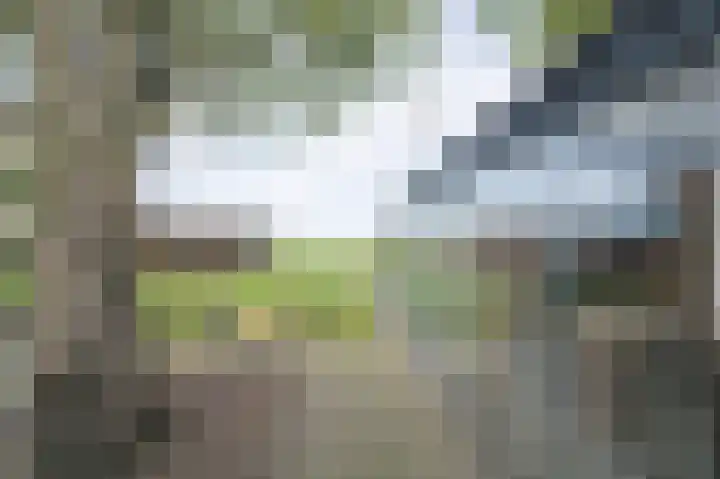 Wouwbaan 210 Roosendaal thumbnail 38