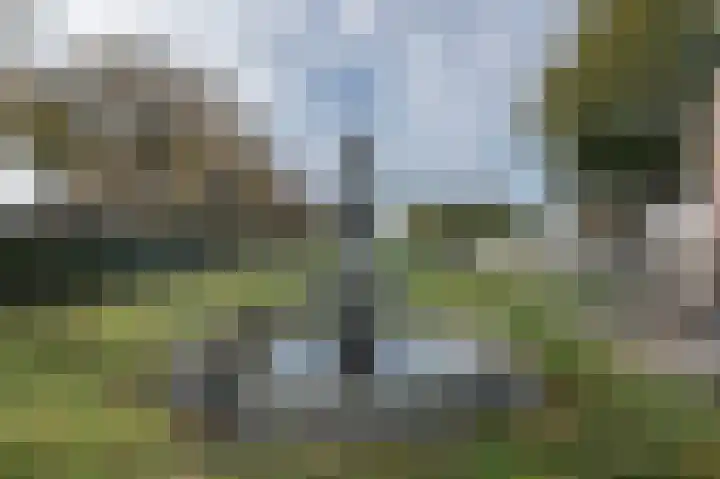 Wouwbaan 210 Roosendaal thumbnail 55