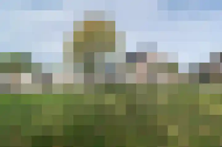 Wouwbaan 210 Roosendaal thumbnail 57