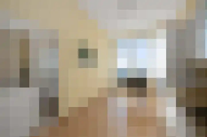 Wouwenkoplaan 90 IJmuiden thumbnail 14