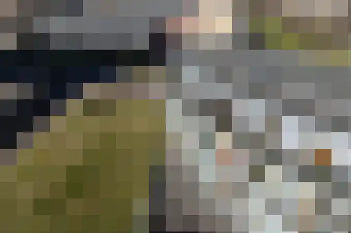 Wouwenkoplaan 90 IJmuiden thumbnail 19