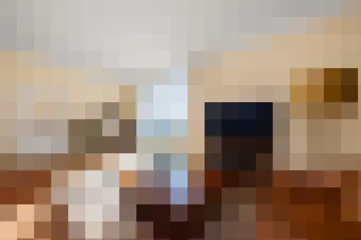 Wouwenkoplaan 90 IJmuiden thumbnail 8