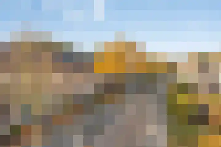 Wouwerbroek 54 Rijen thumbnail 10