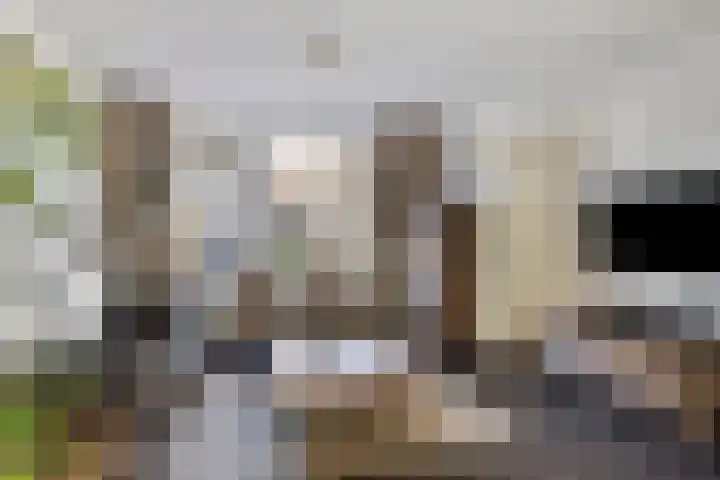 Wouwerbroek 54 Rijen thumbnail 13