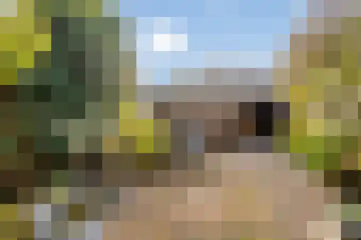 Wouwerbroek 54 Rijen thumbnail 34