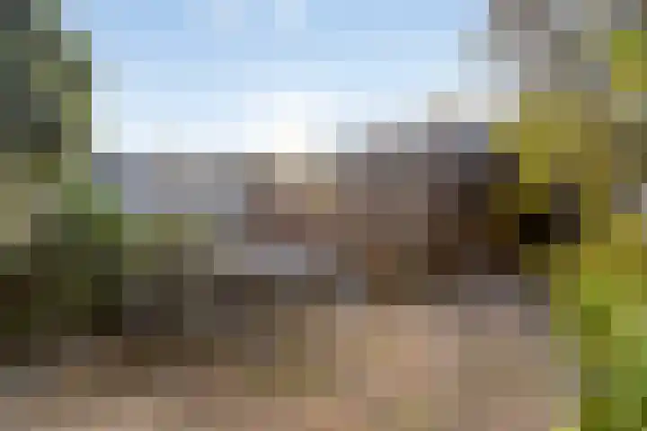 Wouwerbroek 54 Rijen thumbnail 35