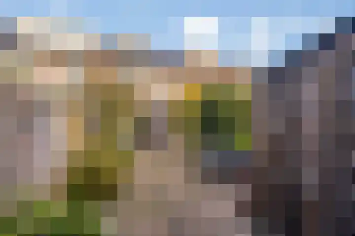 Wouwerbroek 54 Rijen thumbnail 37